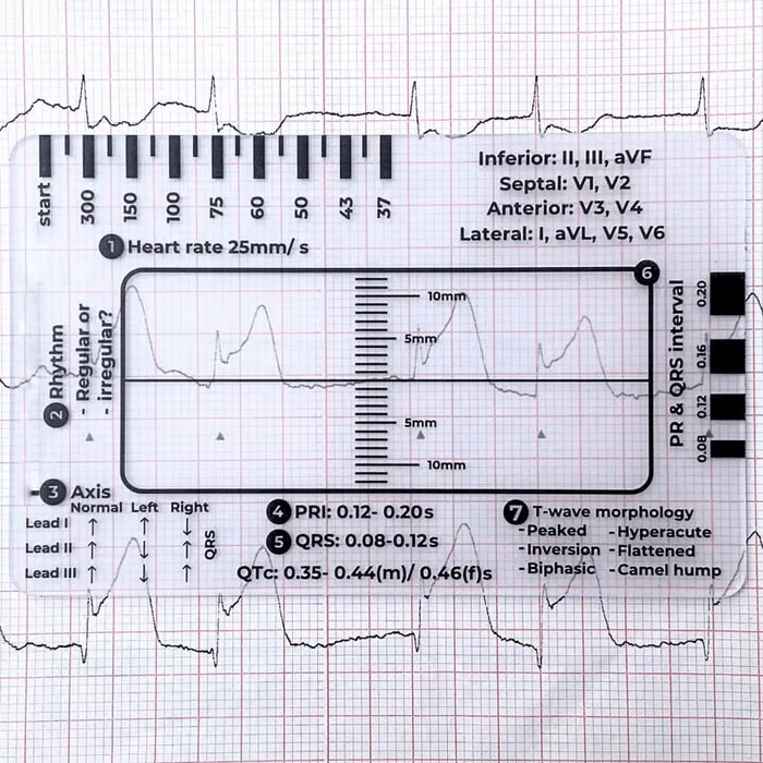 🔥HOT SALE -ECG 7 Step Ruler