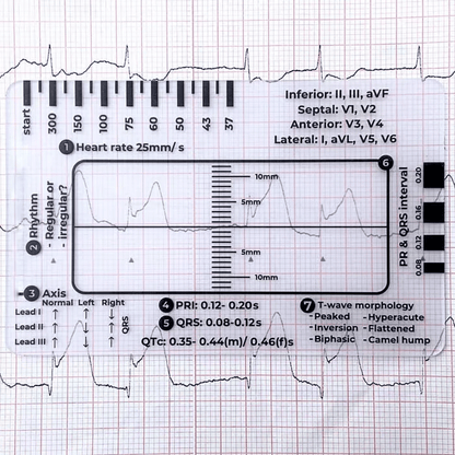 🔥HOT SALE -ECG 7 Step Ruler