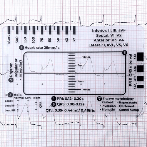 🔥HOT SALE -ECG 7 Step Ruler