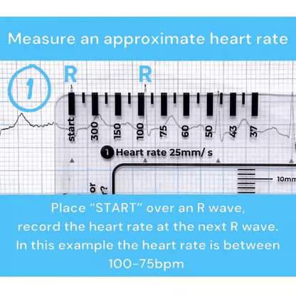 🔥HOT SALE -ECG 7 Step Ruler