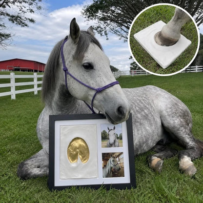 🐴Horse Hoofprint Keepsake Clay Kit💛Their actual hoofprint — made by your own hands.🐴
