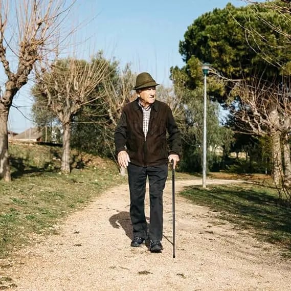 Walking Gun Cane